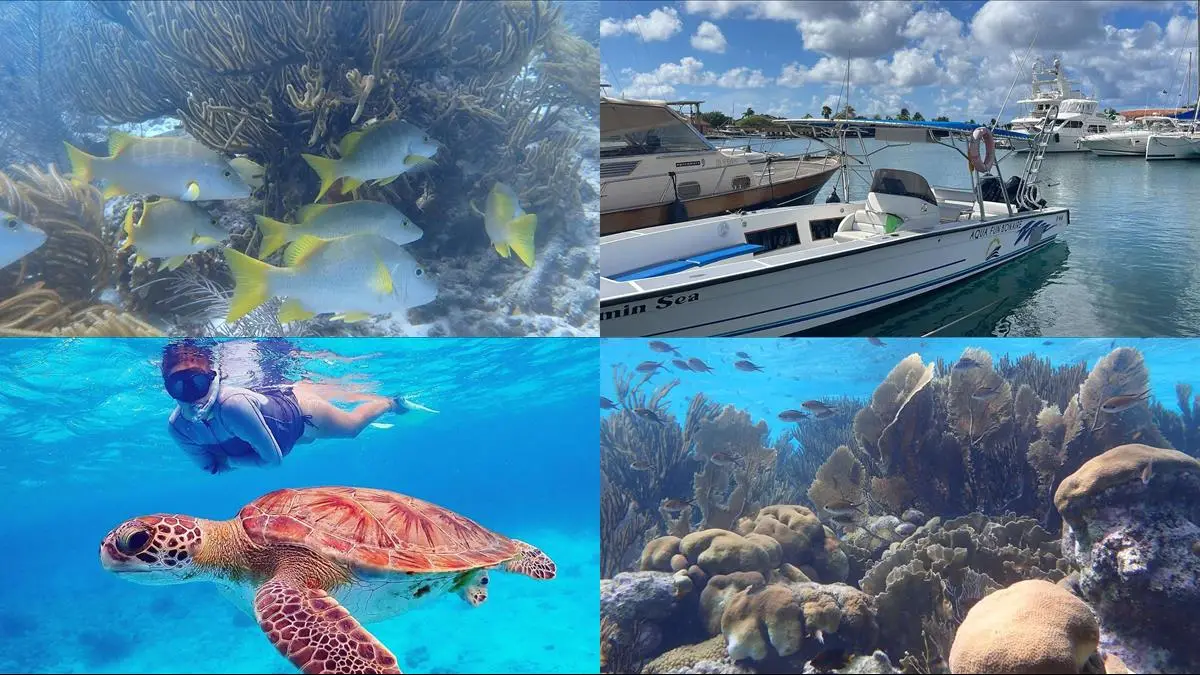Bonaire Marine Park drift snorkeling utflykt med 2 stopp illustration