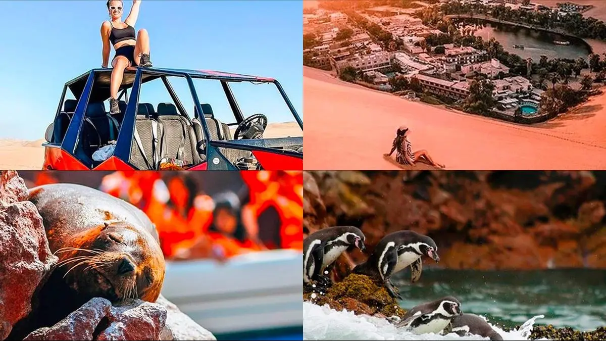 Fantastisk heldagstur från Lima till Paracas och Huacachina illustration