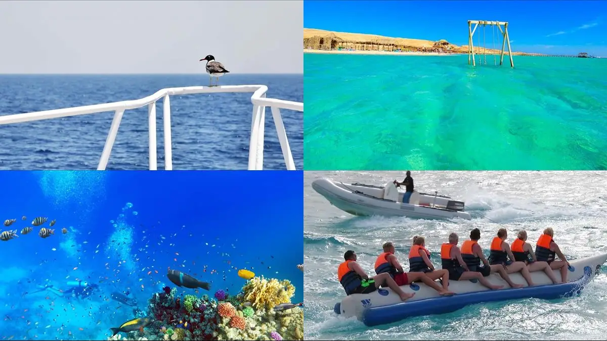 Ombord på den oförglömliga yacht-turen till Orange Island med lunch och vattensporter illustration