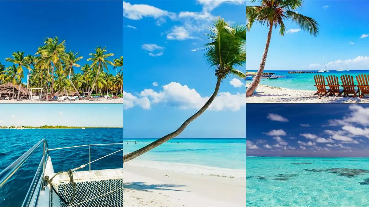 Punta Cana illustration