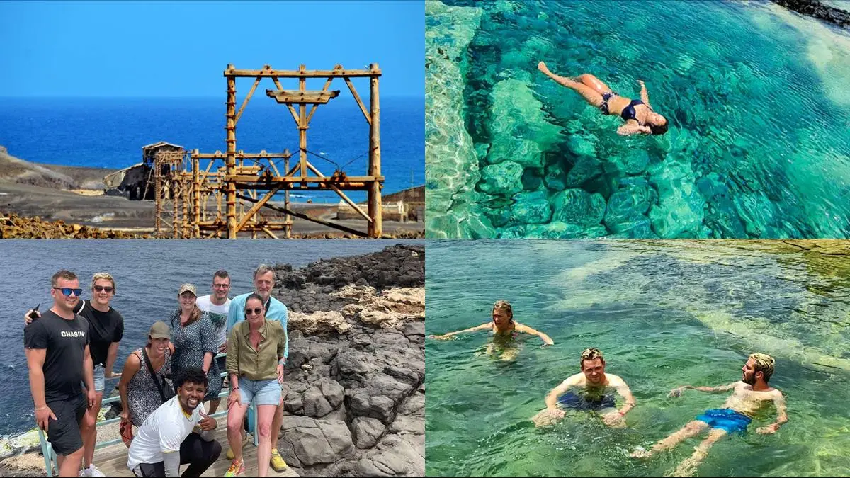 Sal illustration