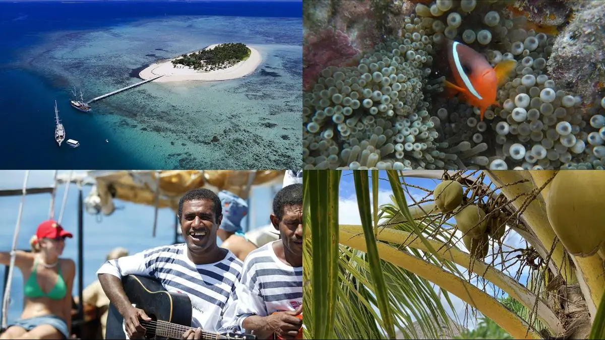Tivua Island Heldagsutflykt med Captain Cook Cruises illustration